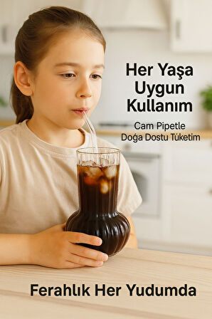 6 Adet Premium Cam Bardak Cam Pipet Hediyeli– Soğuk Kahve, Limonata ve Soda Sunumlar 500 ml