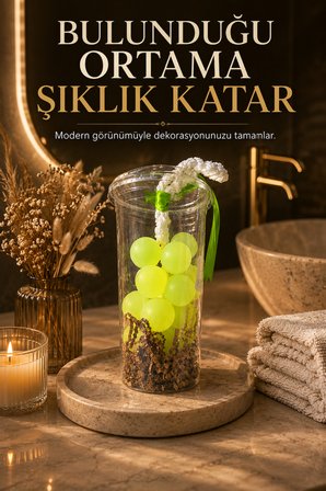 Yeşil Dekoratif Kokulu Sabun Bardak Aranjmanı Ortam Kokulandırıcı Şık Tasarım Banyo Ofis Salon Dekor 