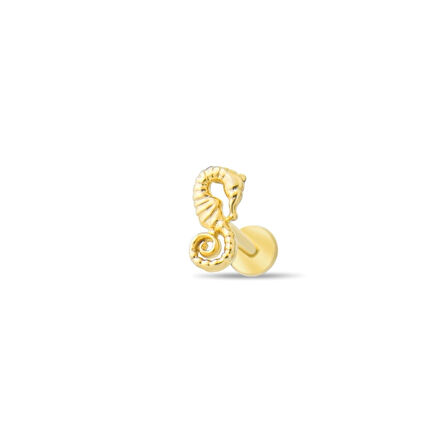 Altın Deniz Atı Tragus Piercing