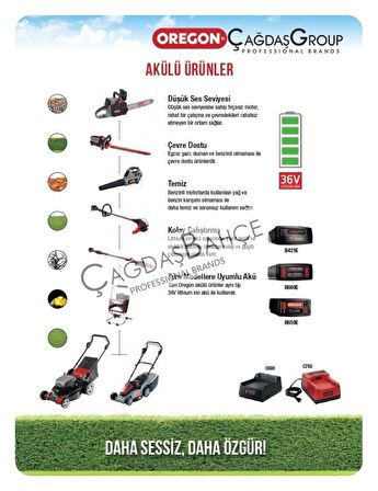 Oregon WL275 Aydınlatma Aşığı 5000K Akü Ve Elektrikle Çalışabilir