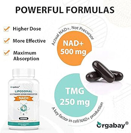 Orgabay Lıposomal 500 Mg Nad + 250 Mg Tmg Trimethylglycine 60 caps