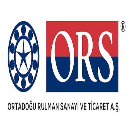 ORS 308/ZNR C3 Rulman