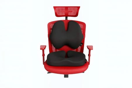ORTOVİTA KELEBEK Yeni Nesil Visco Ortopedik Ergonomik Oturma ve Bel Destek Minderi ve sırtlık ( 2 li Set )