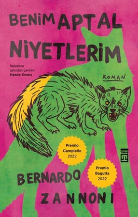 Benim Aptal Niyetlerim