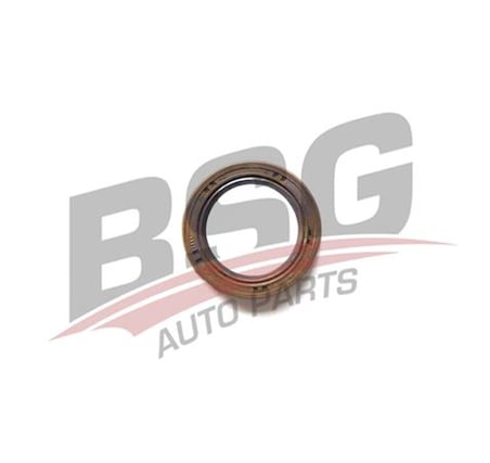 BSG EKSANTRIK KECESI 30X42X7 VITON - DOBLO STILO BRAVO MAREA ALFA 147 156 01-
