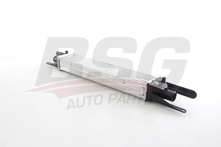 BSG TURBO RADYATORU INTERCOOLER 450 X 102 X 50 - LINEA 2007-