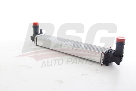 BSG TURBO RADYATORU BRAZING INTERCOL (580X112X62) - 500X-RENEGADE 14-