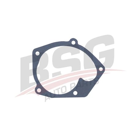 BSG DEVIRDAIM CONTASI - CLIO KANGOO MEGANE 00-