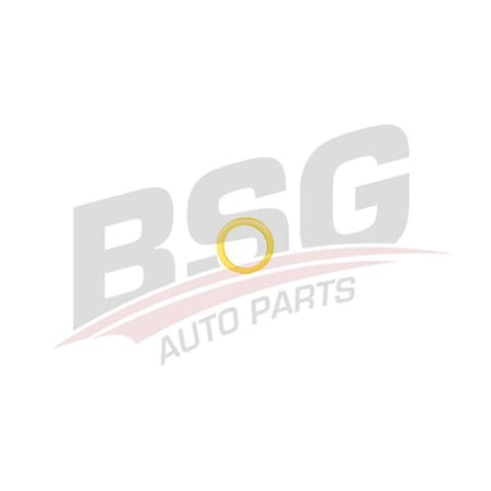 BSG KARTER TAPA CONTASI BAKIR - R9 R11 R12 R19 R21 00-