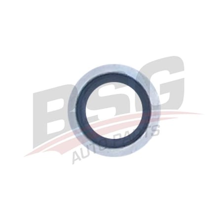 BSG KARTER TAPA PULU METAL - CLIO MEGANE SCENIC LAGUNA 00-