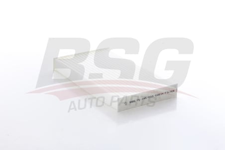 BSG POLEN FILTRESI KABIN FILTRESI KARBONSUZ - MEGANE III 08-