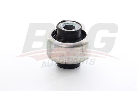 BSG SALINCAK BURCU ON BUYUK - TRAFIC II 01-