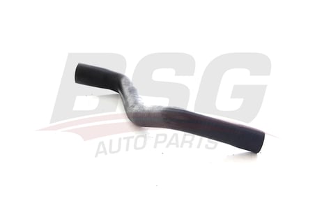 BSG RADYATOR HORTUMU UST - CLIO III/MODUS 04-