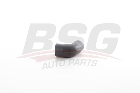 BSG TURBO BORUSU PLASTIK BORU HARIC - CLIO II-III/THALIA 04-