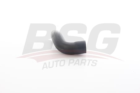 BSG TURBO BORUSU PLASTIK BORU HARIC - CLIO III/MODUS 04-