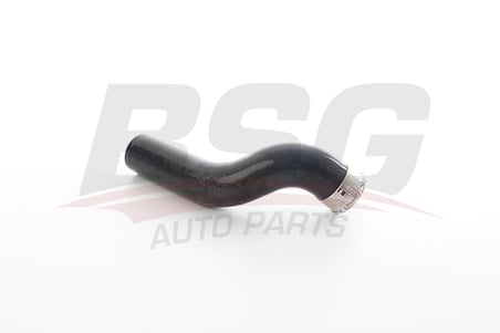 BSG TURBO BORUSU PLASTIK BORU HARIC - MASTER III 09-