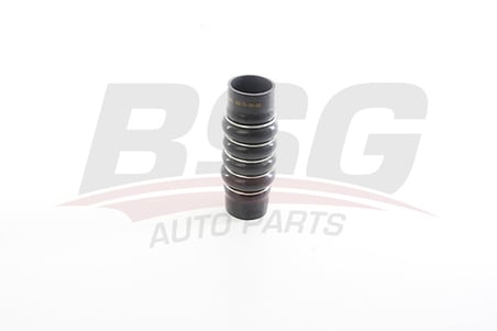 BSG TURBO HORTUMU PLASTIK BORU HARIC 2 KAT POLYESTER KULLANILMISTIR - CLIO III/MODUS 04-