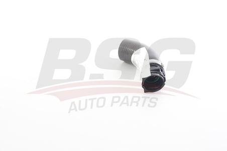 BSG TURBO HORTUMU PLASTIK BORU HARIC KUCUK HORTUM - CLIO IV/CAPTUR/LOGAN MCV/SANDERO 12-
