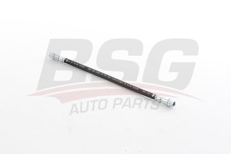 BSG FREN HORTUMU ARKA - DUSTER 10-