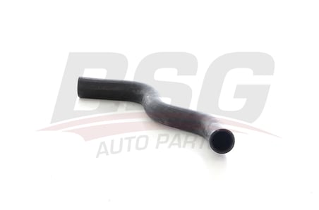 BSG RADYATOR HORTUMU UST - MEGANE I/SCENIC I 95-