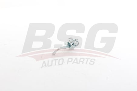 BSG KAPI GERGISI ON/ARKA - R9 - R11 81-