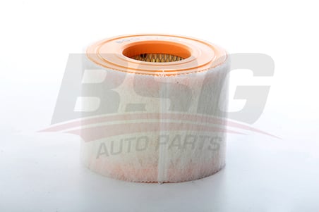 BSG HAVA FILTRESI E1054L / LX2607/2 - A6 11-