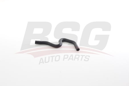 BSG RADYATOR SU HORTUMU YEDEK SU DEPO HORTUMU - PASSAT-A4 97-04