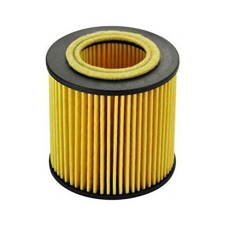 Bosch 1457429269 Yag Fıltresı ( Bmw: 130 I 323 I 330 I 330 Xı 06-12/530I 11-/Z4 10-X3 06-)