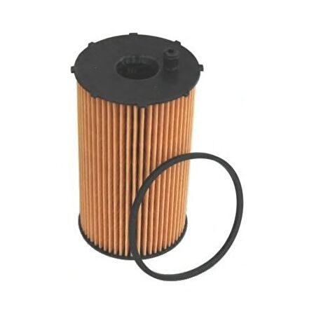 Bosch 1457429307 Yag Fıltresı (Cıtroen:C5 Iıı 2.7 Hdı 08-/C6 2.7Hdı 05-/Peugeot:407 607 2.7Hdı 04-)