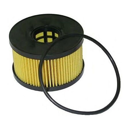 Bosch 1457429239 Yağ Fıltresı Mondeo Iıı 2.2Tdcı-2.0 16Vdı-Tdcı-(00-07)-Transıt 2.0Tdcı/2.4Dcı 1457429239-0986Tf0046