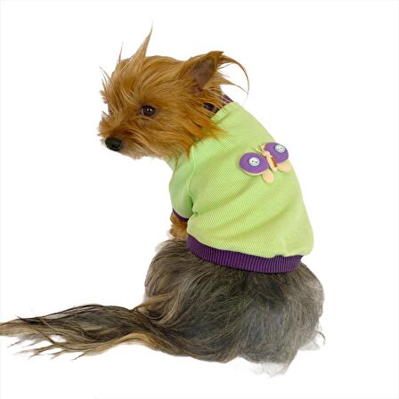 Sweet Butterfly Oval Yaka Tişört Köpek Kıyafeti Köpek Elbisesi