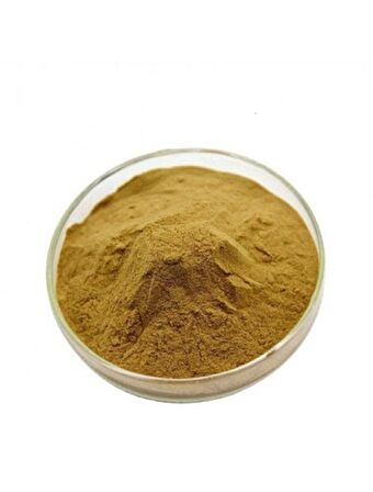 St. John's Wort (Sarı Kantaron) Extract 250 gr (Hammadde) + İlaç Kutusu Hediyeli
