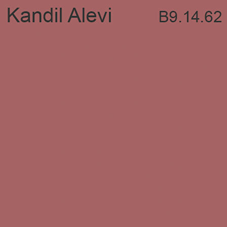 Akrikor Elastomerik Boya Kandil Alevi 15 Lt (20 Kg)