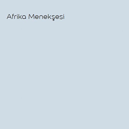 Marshall Antibakteriyel Hijyen İpek Mat İç Cephe Boyası Afrika Menekşesi 2,5 Lt (3,5 Kg)