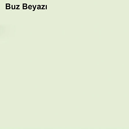 Marshall Özel Mat Buz Beyazı 7,5lt (10 Kg)