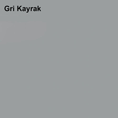 Marshall Özel Mat Gri Kayrak 15lt (20 Kg)