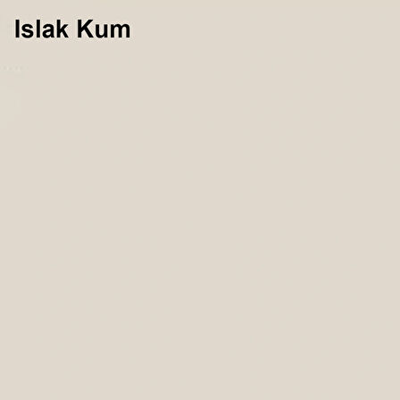Marshall Özel Mat Islak Kum 0,75lt (1 Kg)