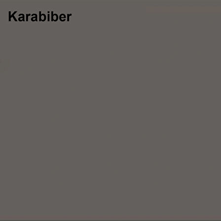 Marshall Özel Mat Karabiber 2,5lt (3,5 Kg)