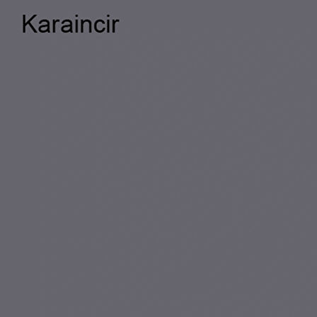 Marshall Özel Mat Kara İncir 2,5lt (3,5 Kg)