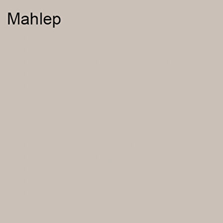 Marshall Özel Mat Mahlep 0,75lt (1 Kg)