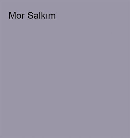 Marshall Özel Mat Mor Salkım 0,75lt (1 Kg)