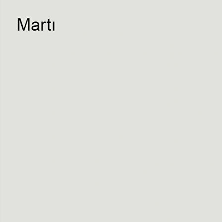 Marshall Özel Mat Martı 2,5lt (3,5 Kg)