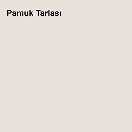 Marshall Özel Mat Pamuk Tarlası 0,75lt (1 Kg)