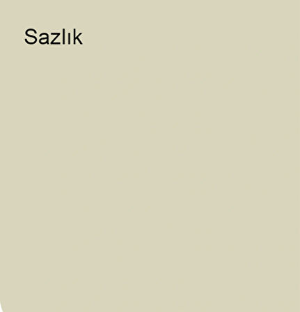 Marshall Özel Mat Sazlık 2,5lt (3,5 Kg)