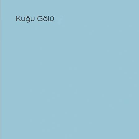 Marshall Maximum Silikonlu İpek Mat Kuğu Gölü 15 Lt. (20 Kg)