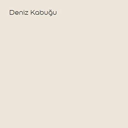 Marshall Sil-Pak Deniz Kabuğu 7,5lt (10 Kg)