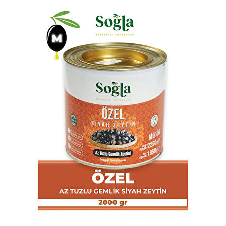 Özel Gemlik Zeytini Teneke 1850g