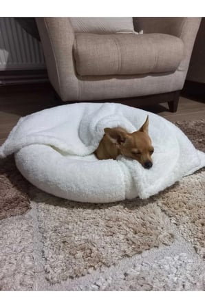 Yumuşak Peluş Wellsoft Kedi ve Köpek Battaniyesi 90x60 cm Beyaz