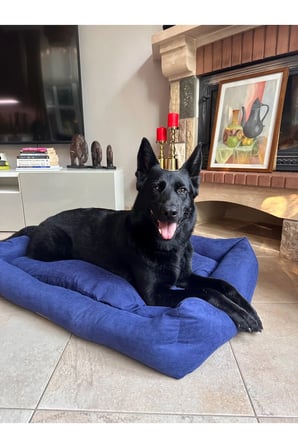 Yumuşak ve Rahat Kedi Köpek Yatağı, Konforlu Uyku İçin Tasarlandı