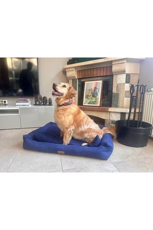 Yumuşak ve Rahat Kedi Köpek Yatağı, Konforlu Uyku İçin Tasarlandı
